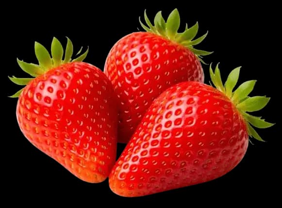 Variété dream produite dans nos champs à Saint-Geyrac en Dordogne